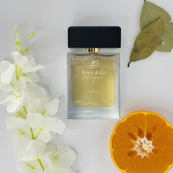 INVICTION - INSPIRADO PACO RABANNE INVICTUS (MASCULINO)