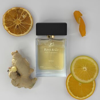 TIGER - INSPIRADO BVLGARI LE GEMME TYGAR (MASCULINO)